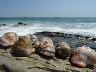Nice summer view from Varna in Bulgaria 
