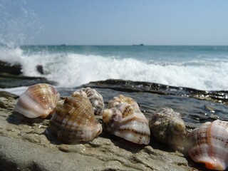 Nice summer view from Varna in Bulgaria 