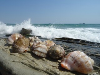 Nice summer view from Varna in Bulgaria 
