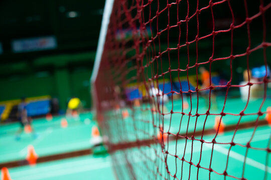 Close up on batminton net