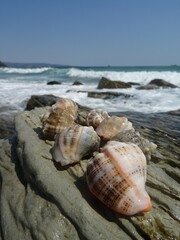 Nice summer view from Varna in Bulgaria 