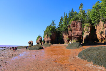 Hopewell Rocks Park in Canada, located on the shores of the Bay of Fundy in the North Atlantic Ocean - obrazy, fototapety, plakaty