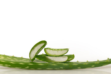 Aloe flower leaves on a white background. Close-up. medicinal flower.
