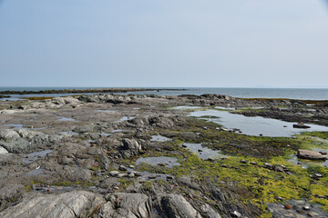 Low tide exposed rock at Ile aux Lievres St-Lawrence river.