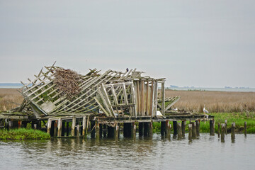 Ruins of a crab shack on Smith Island, Virginia, in the Chesapeake Bay. The Island has been...