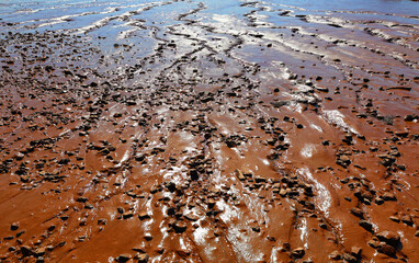 Coastline on the Bay of Fundy in New Brunswick in Canada at low tide