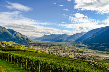 Dorf Tirol, Meran, Weinberg, Weinpergola, Aussichtspunkt, Etschtal, Etsch, Wanderweg, Spazierweg,...