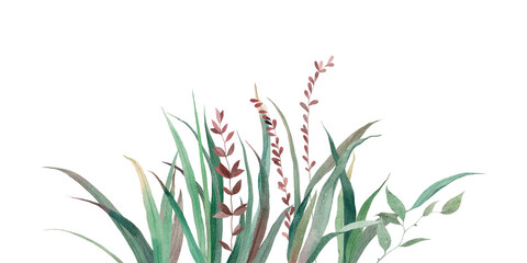 Hand drawn watercolor grass isolated on white background. Abstract grass. Spring. Summer.