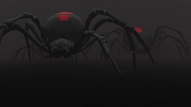 Giant black widow spiders appearing in fog 3d seamless loop