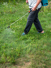 weedicide spray on the weeds in the garden	
