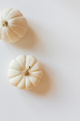 White pumpkins on the white table. Thanksgiving or Halloween composition top view. Copy space