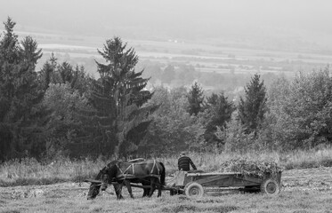 Fototapeta na wymiar a peasant and a horse-drawn cart in the field in black and white