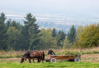 Fototapeta na wymiar A farmer with a horse-drawn cart in the field