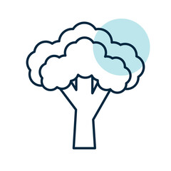 Broccoli isolated vector icon. Vegetable sign