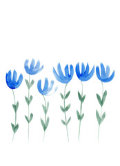 Fototapeta premium Blue tulips. Stylized watercolor illustration. Isolated drawing