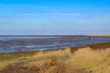 The wadden sea by Hilgenriedersiel 