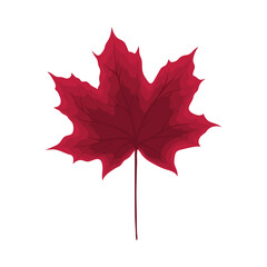 Maple Autumn Leaf