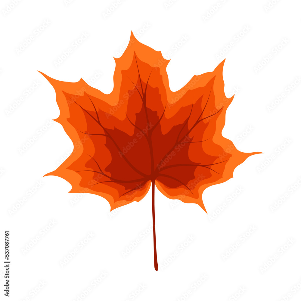 Poster Maple Autumn Leaf