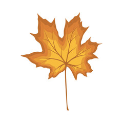 Maple Autumn Leaf