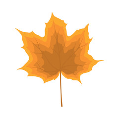 Maple Autumn Leaf