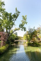 Fototapeta premium Aveiro City Park, during a sunny day