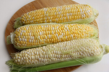 close-up of corn on a white background. corn on the cob on a wooden board
