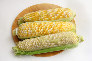 close-up of corn on a white background. corn on the cob on a wooden board