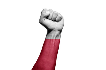 Man's hand in a fight signal with the countries flag.