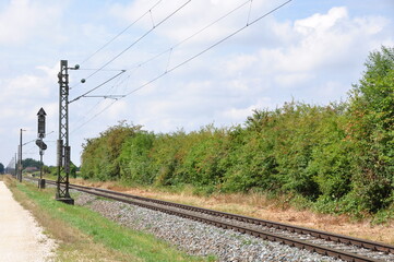 Eisenbahnschienen mit Triebwagenzug auf eingelsiger Strecke im Sommer 