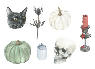 Set of watercolor elements on the theme of Halloween in boho style.