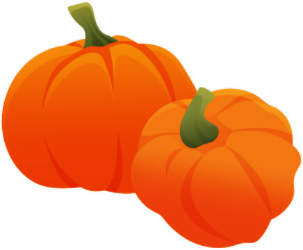 Two pumpkins, herbaceous plant. Vegetable illustration for farm market menu. Healthy food design. Pumpkin autumn harvesting season. Fresh rounded ripe vegetable, thanksgiving and halloween symbol