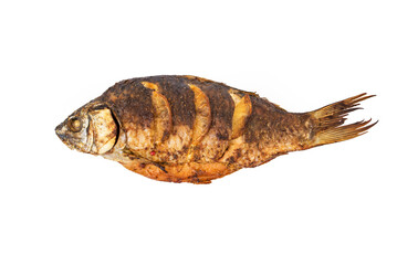 Fototapeta premium fried or oven baked whole fish isolated