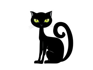 black cat