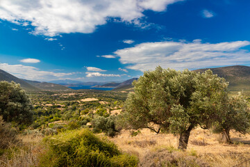 Krajobraz ze wzgórza. Widok z niebieskim niebem i białymi chmurami na greckiej wyspie Evia. Piękne wybrzeże greckiej wyspy. Podróże i wakacje w Grecji.