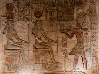 Egyptian wall hieroglyph 2