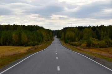 A high-speed asphalt road in autumn and a beautiful forest with a field. Highway in the autumn forest.