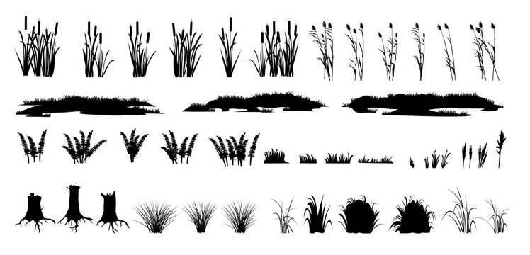 Set of shoots of reeds, reeds and coastal grass. Ferns and rotten stumps. Swamp landscape. View of the river bank. Silhouette picture. Isolated on white background. Vector.