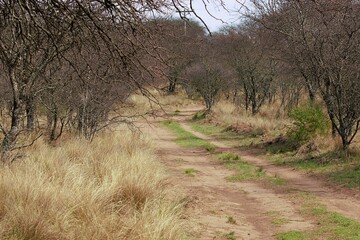 Paisajes de la reserva natural Parque Luro en la provincia de La Pampa Argentina