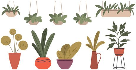 House plants set. Home houseplant flowerpot. Decorative botanical floral in hanging basket. House indoor greenery. Growing different flowers. Evergreens for interior decoration of room or balcony © robu_s