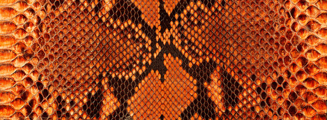 Leather surface with python skin texture python skin. Tropical wildlife animals.