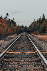 railroad tracks in autumn