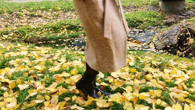 Legs of woman in fashionable black boots and beige coat walking on fallen maple leaves in autumn park. Tracking motion close up shot.