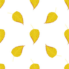 Seamless vector pattern of autumn birch leaves on a white background.