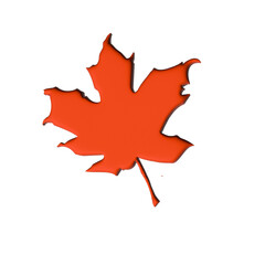 3D Leaf Illustartion