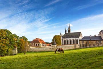 Cistercian monastery Vyssi Brod and grazing horses. Czech Republic.