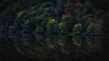 Enchanted Lovely Autumn Forest in the Fall of Saarland in Germany, Europe