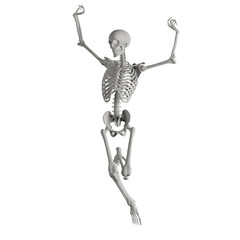 skeleton posing 3d render illustration