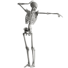 skeleton posing 3d render illustration