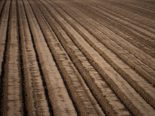 Field just plowed and ready to be planted 