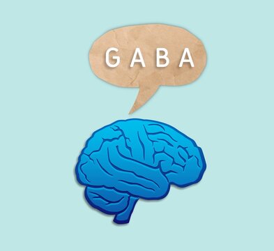 GABA word on a paper and brain image